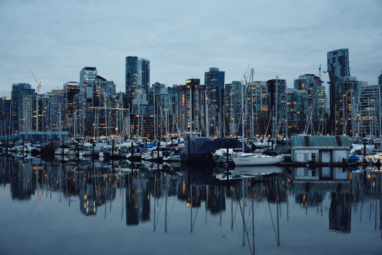 the harbor in front of tall buildings with a number of boats