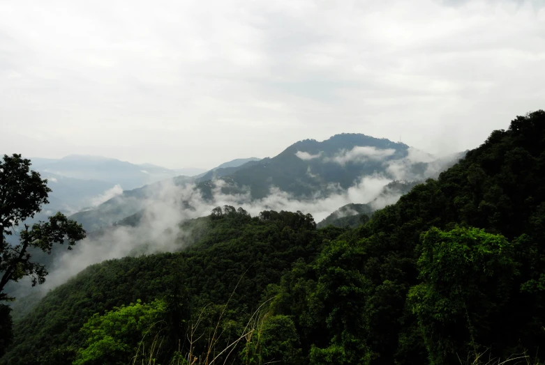 a cloud covered mountain range near a forest