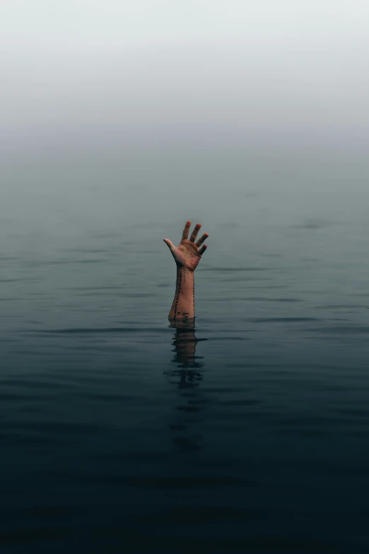 a person's hand reaching for soing out of the water