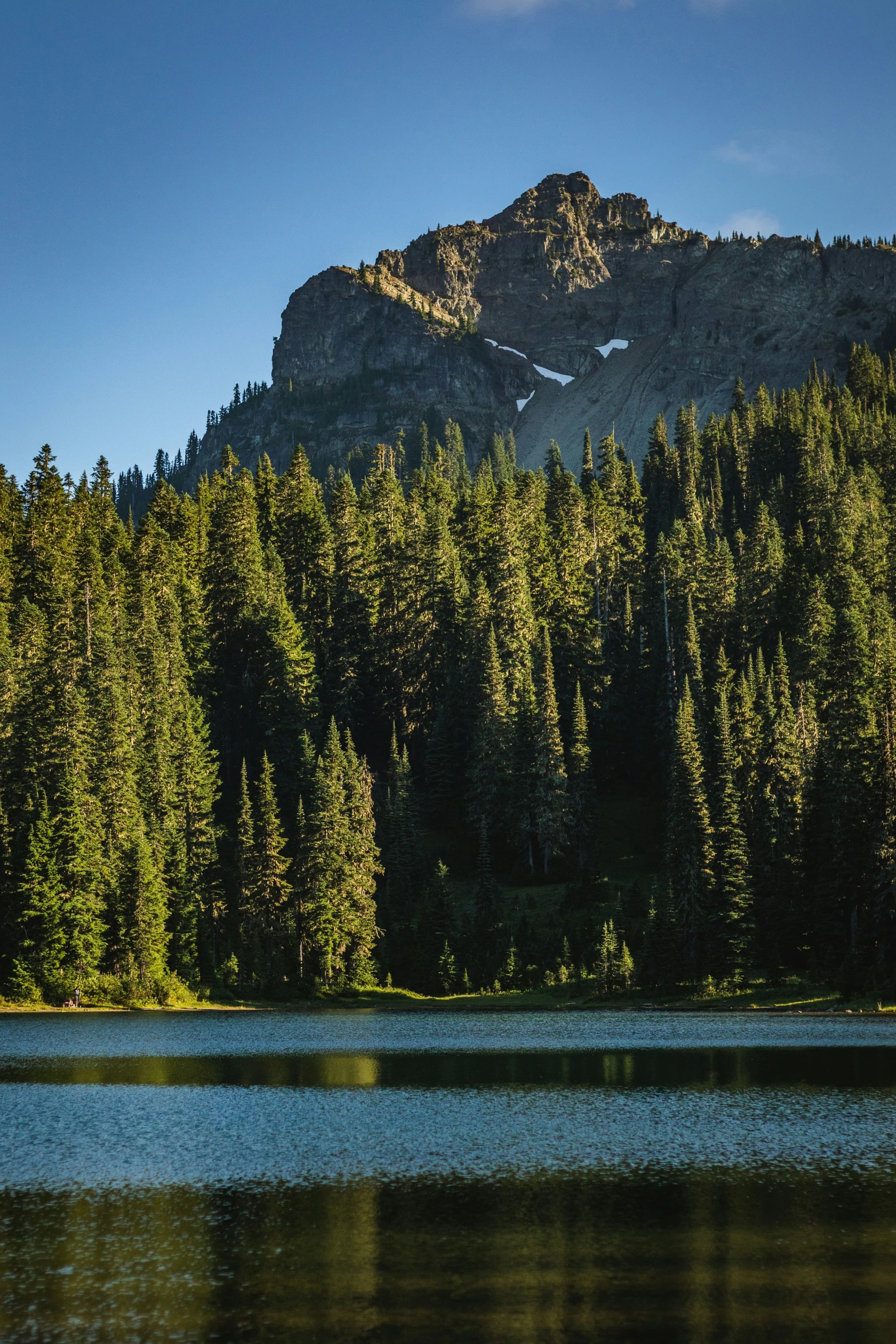 the top of a mountain surrounded by forest