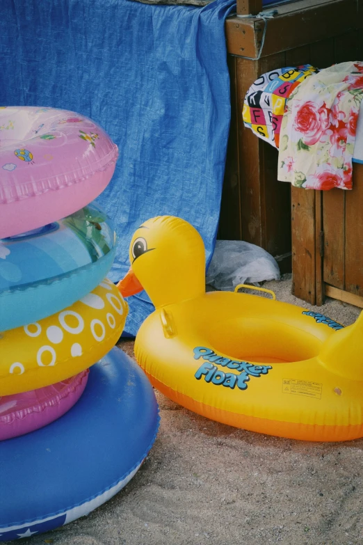 several rubber toys are lined up on the floor