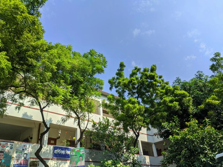 a group of trees next to the entrance to an apartment building