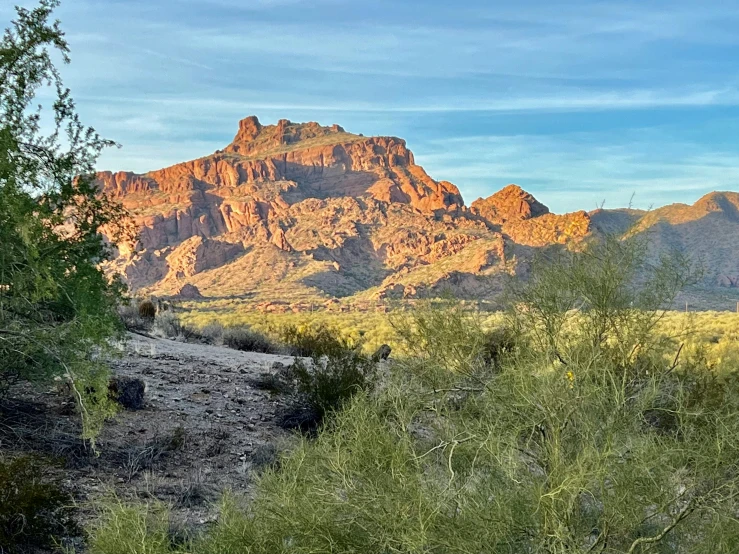 there is a mountain in the background with trees