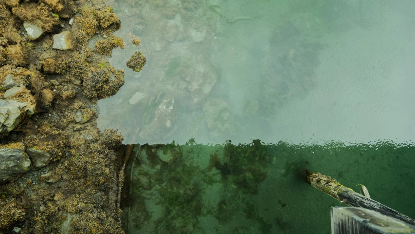 an aerial po with green water in the foreground