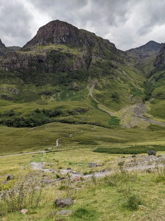 a view of a green mountain from a grassy area