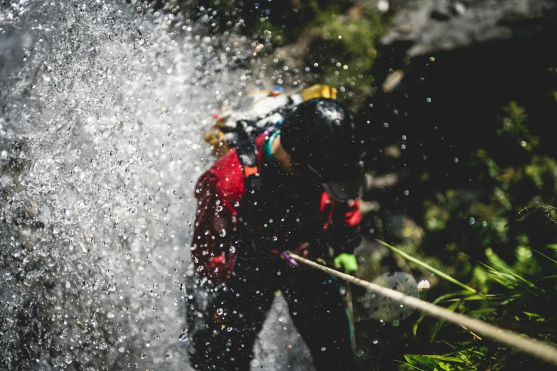 a person spraying water from a pipe next to bushes