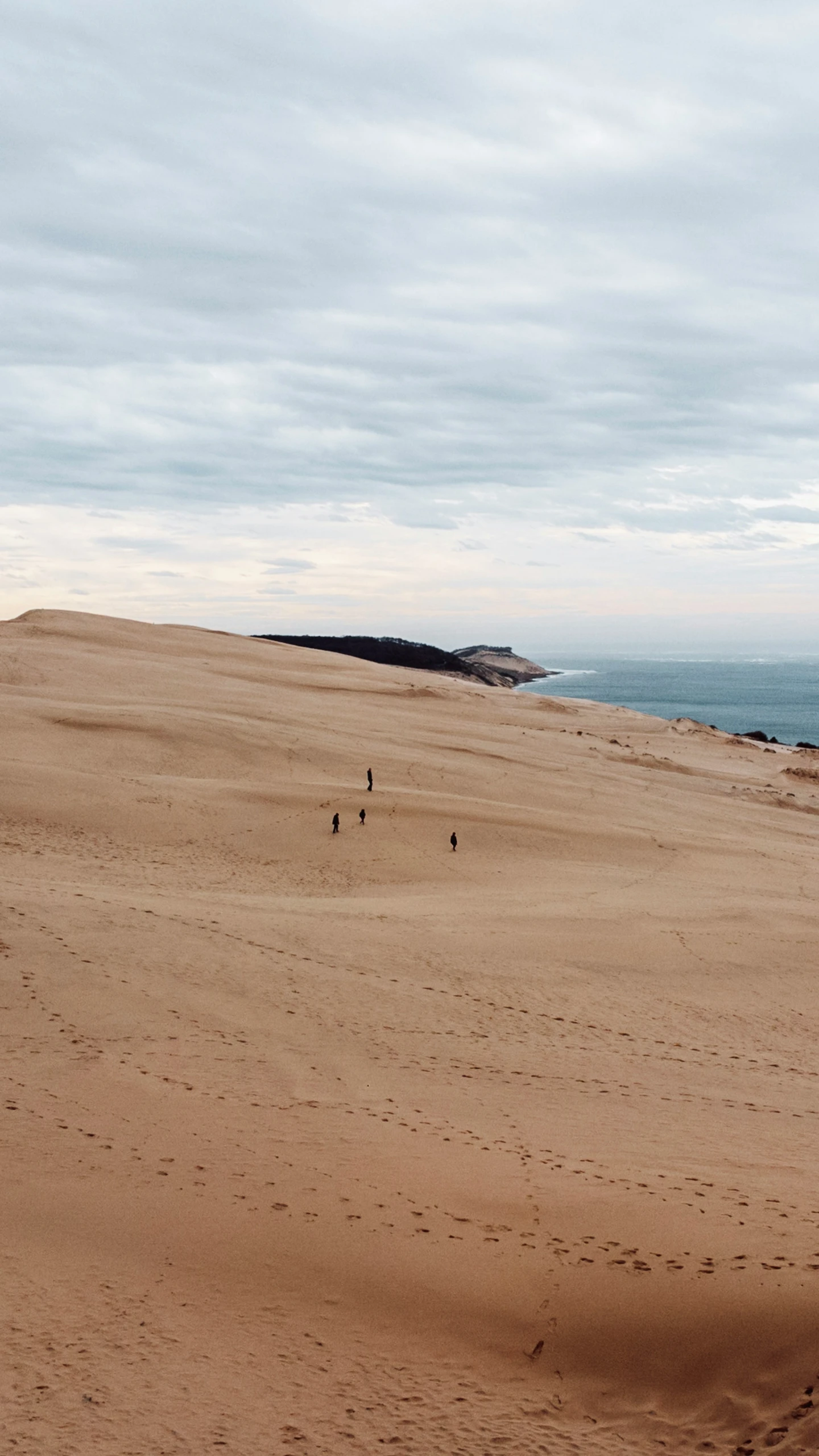 a couple of people that are flying some kites