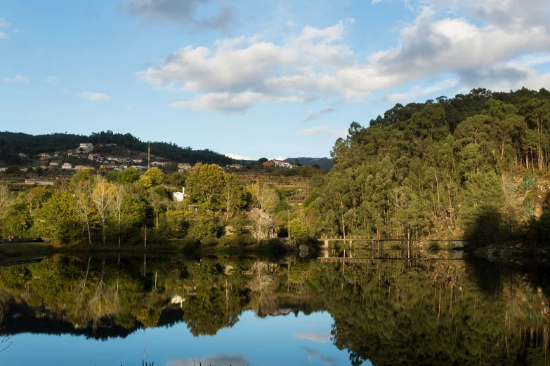 a body of water with trees on a hillside in the background