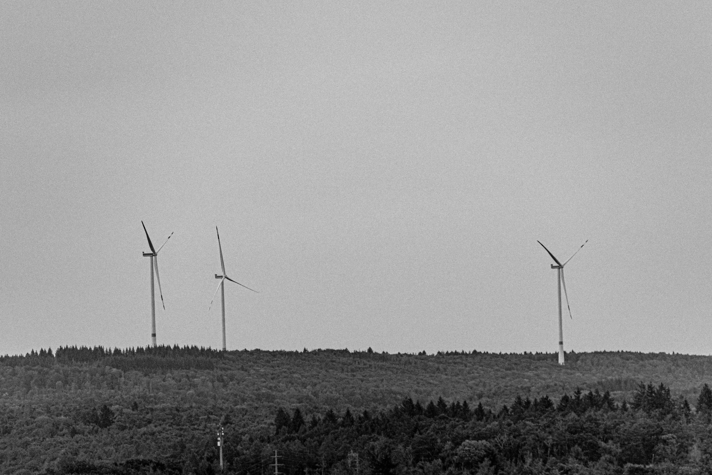 a po of a field with several wind mills in the distance