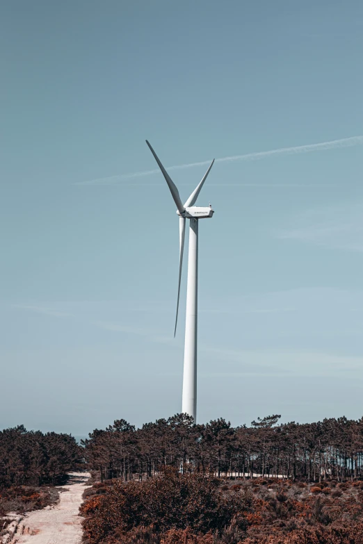 a wind turbine sitting above the trees on a sunny day