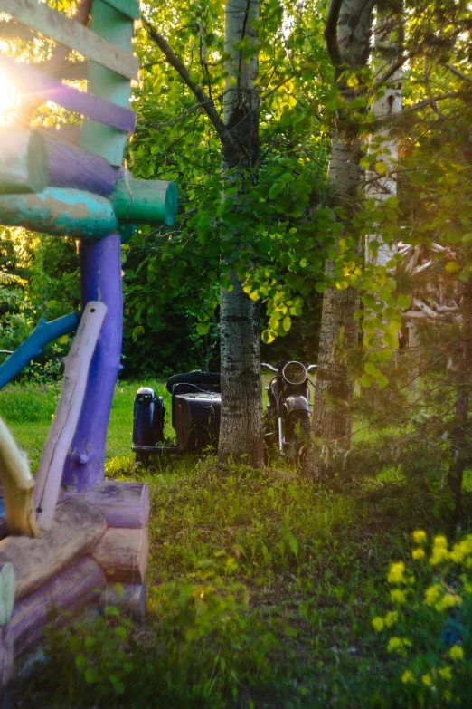 a bouncy house sits next to a forest