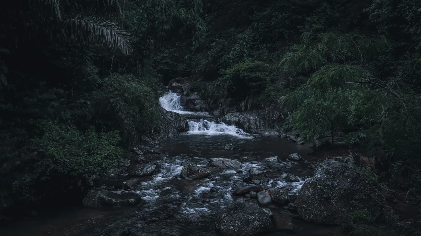 a stream of water running down through some trees