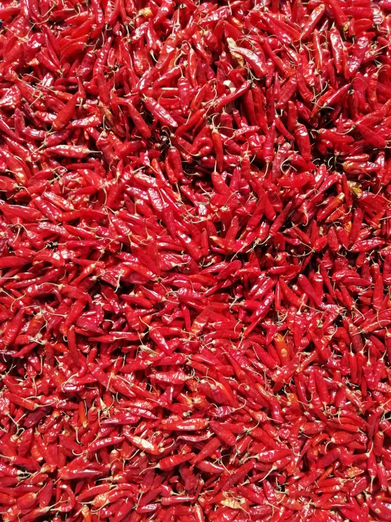 close up of red  peppers that are being sold