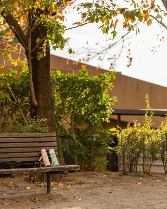 a wooden bench sitting next to a tall tree