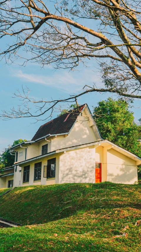 a house on a hill behind some trees