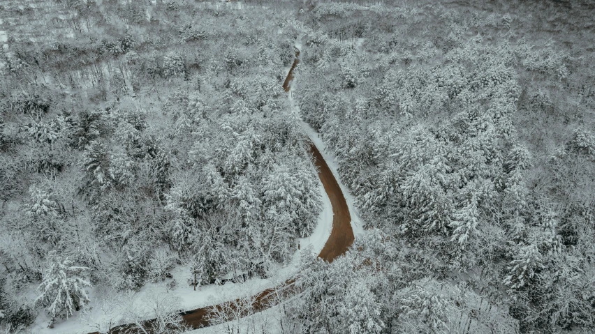 a winding stream in the woods during winter