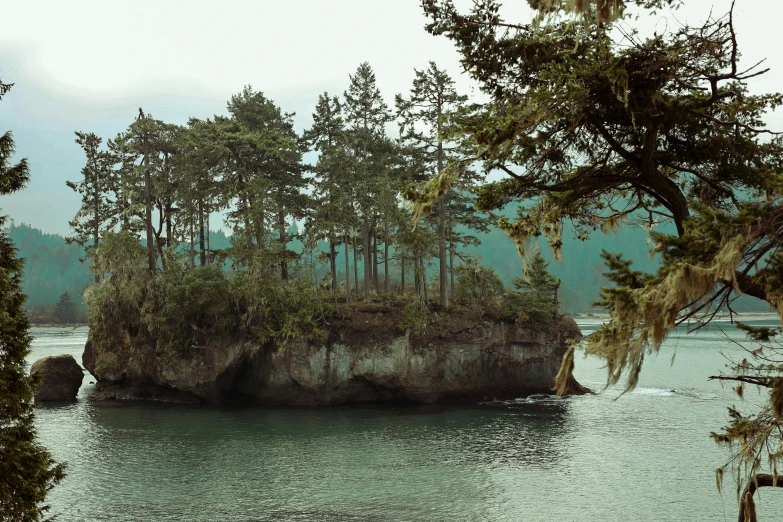 an island surrounded by trees on the edge of the water