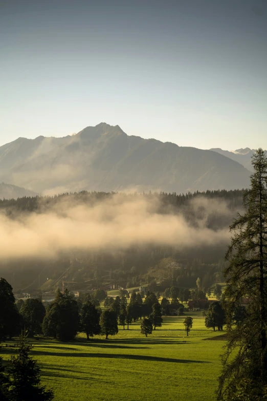 an expansive field that overlooks the mountains covered in fog