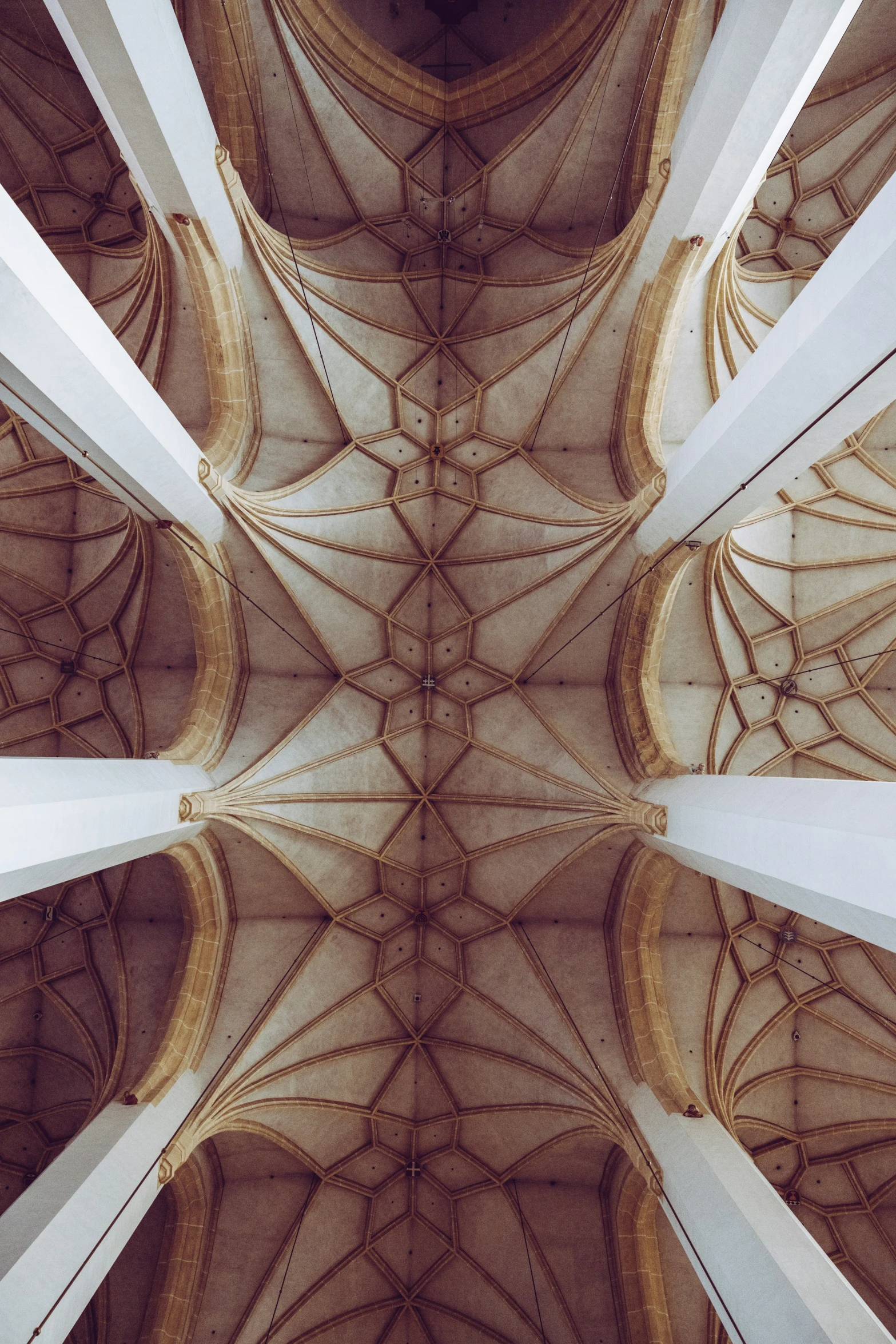 looking up into a vaulted ceiling in the cathedral