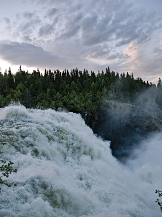 a person surfing in some white water with trees