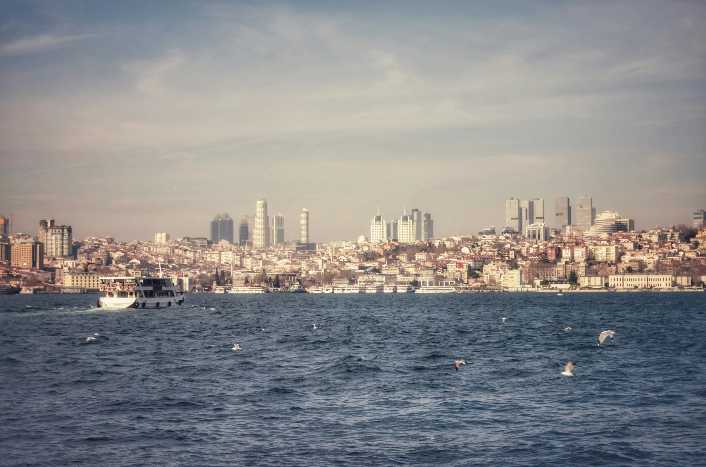 seagulls and sailboats float on the water near the city