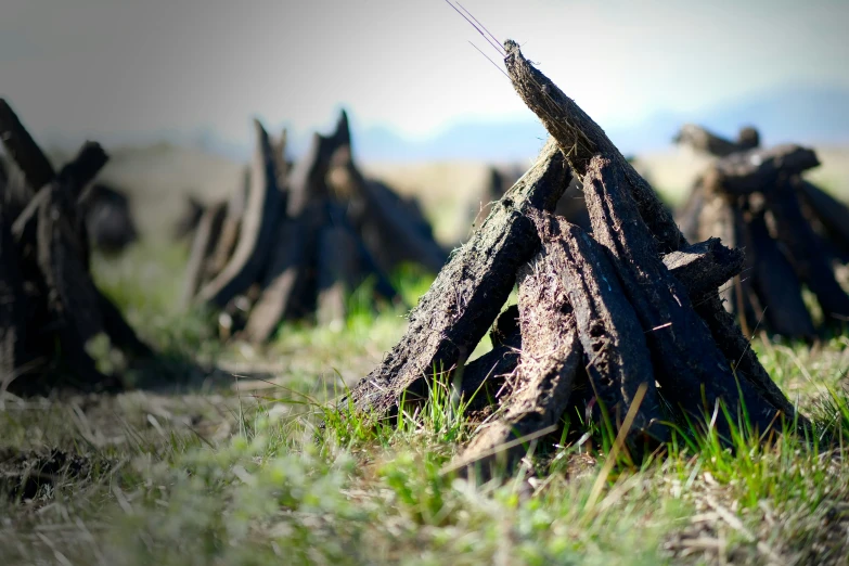 a pile of wooden sticks is on the grass