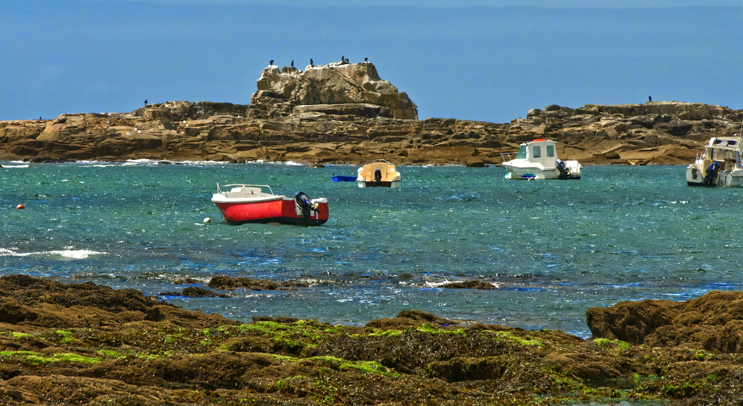 small boats floating in the ocean near a rocky beach