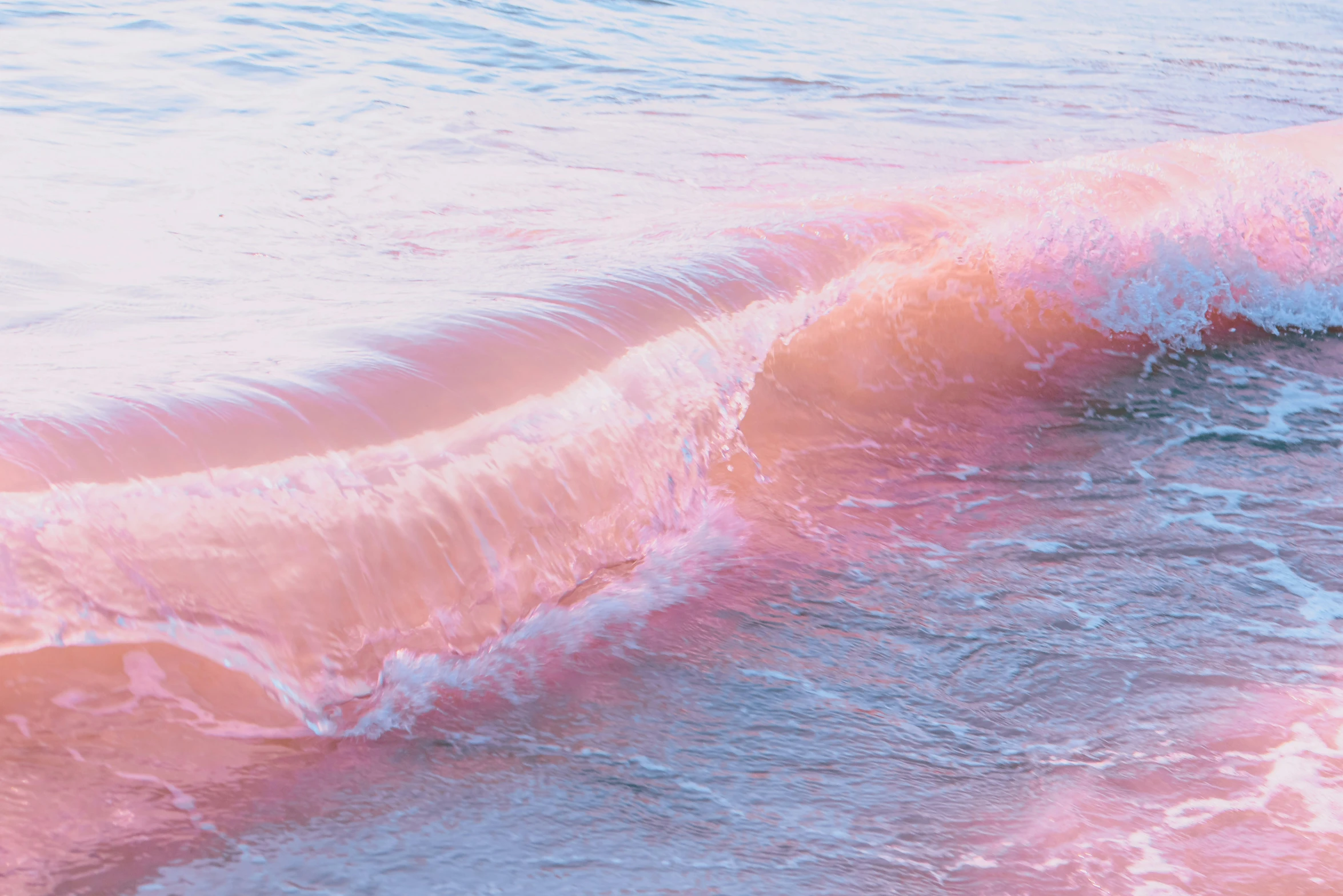 a pink wave rolls in to shore on a beach