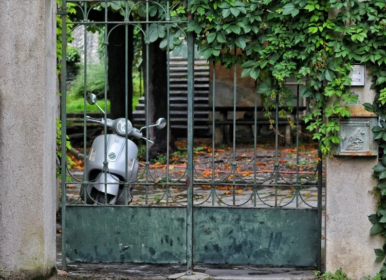 a scooter is pictured through a gate in an overgrown garden