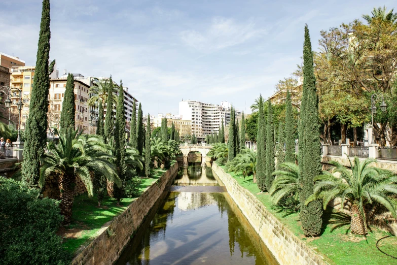 a canal with trees along side of it