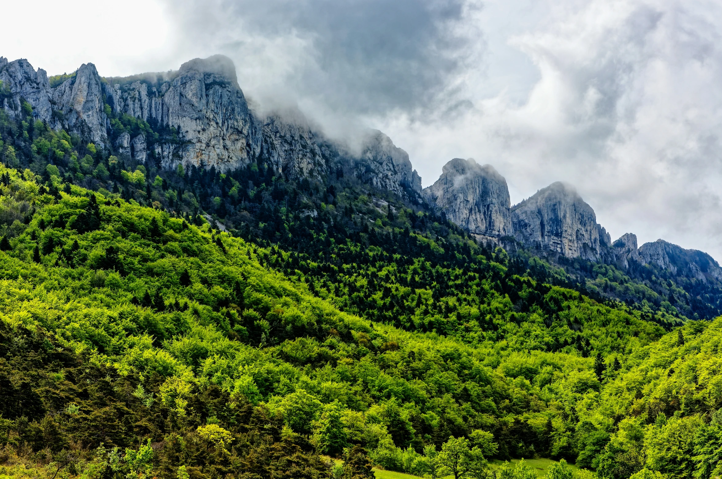 an image of mountains covered in green vegetation