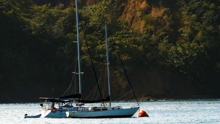 a sailboat in a body of water near a forested area