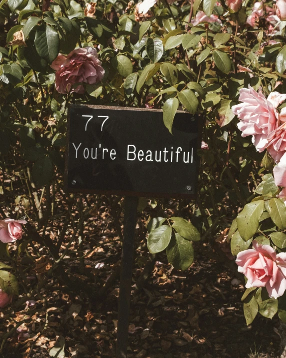 there is a sign with the words you're beautiful written on it