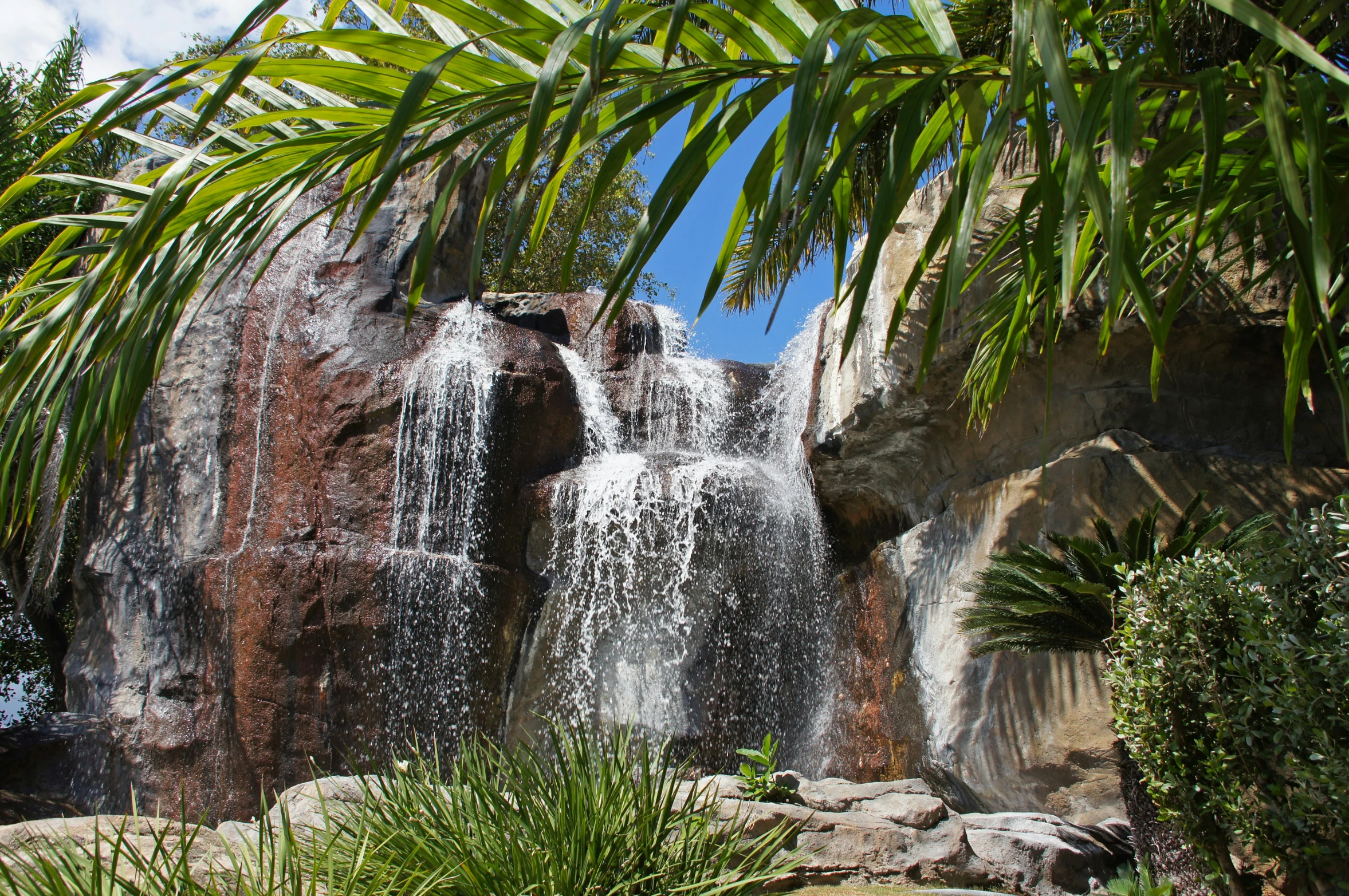 a waterfall that is in the middle of some plants