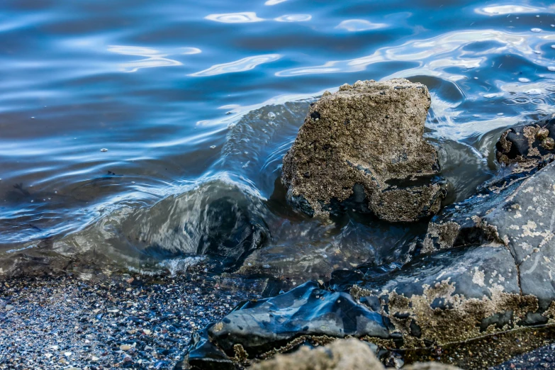 large rocks in the water with a lot of mud on them