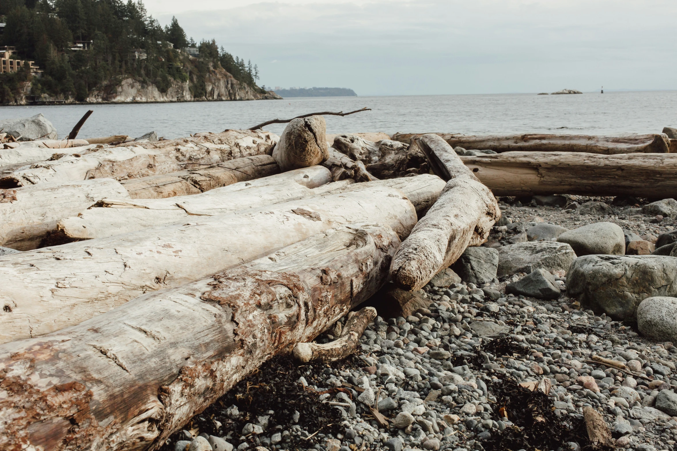 a log laying on the beach near the water