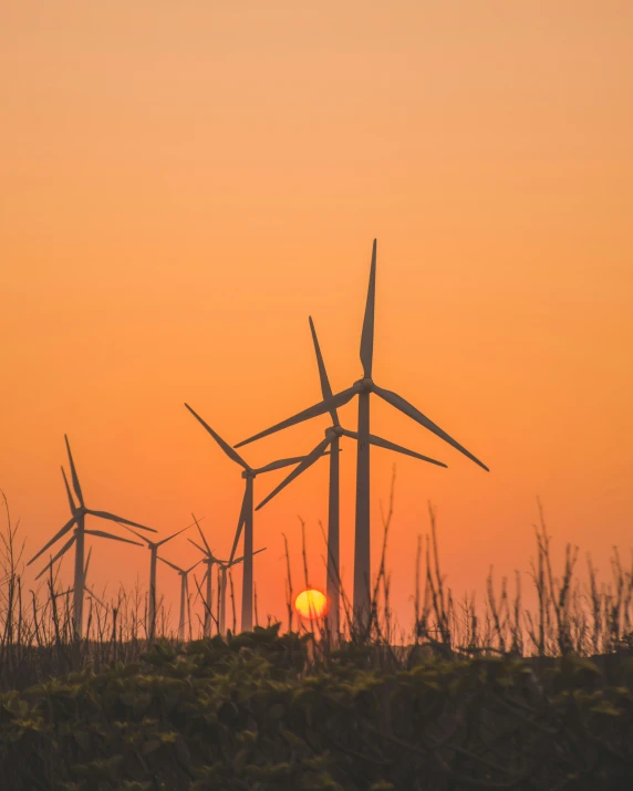 several wind mills are pictured with the sun setting in the background