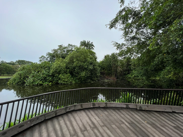 there are many trees in the water and a bench next to the water