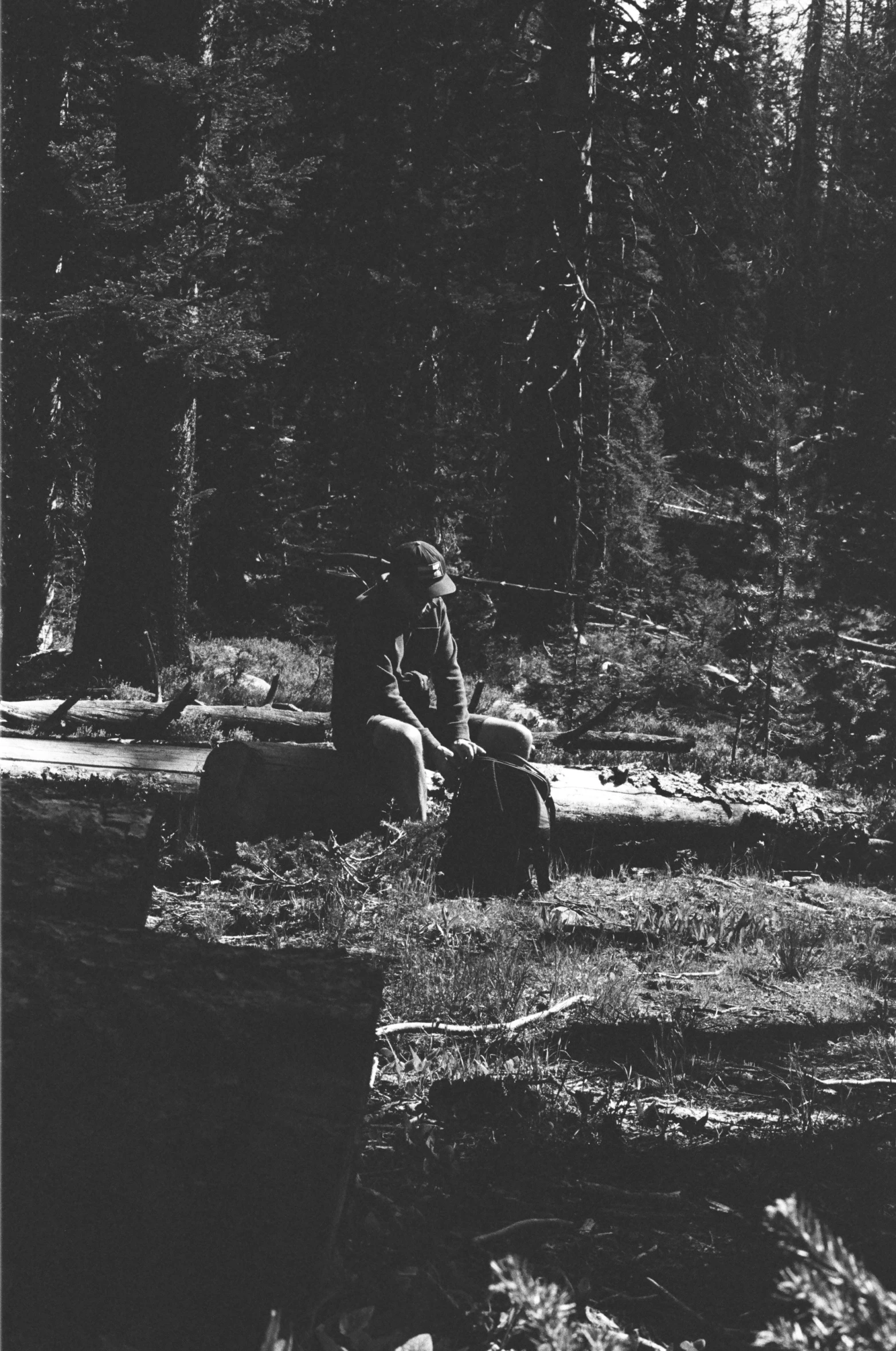 a person riding on the back of a motorcycle in a forest