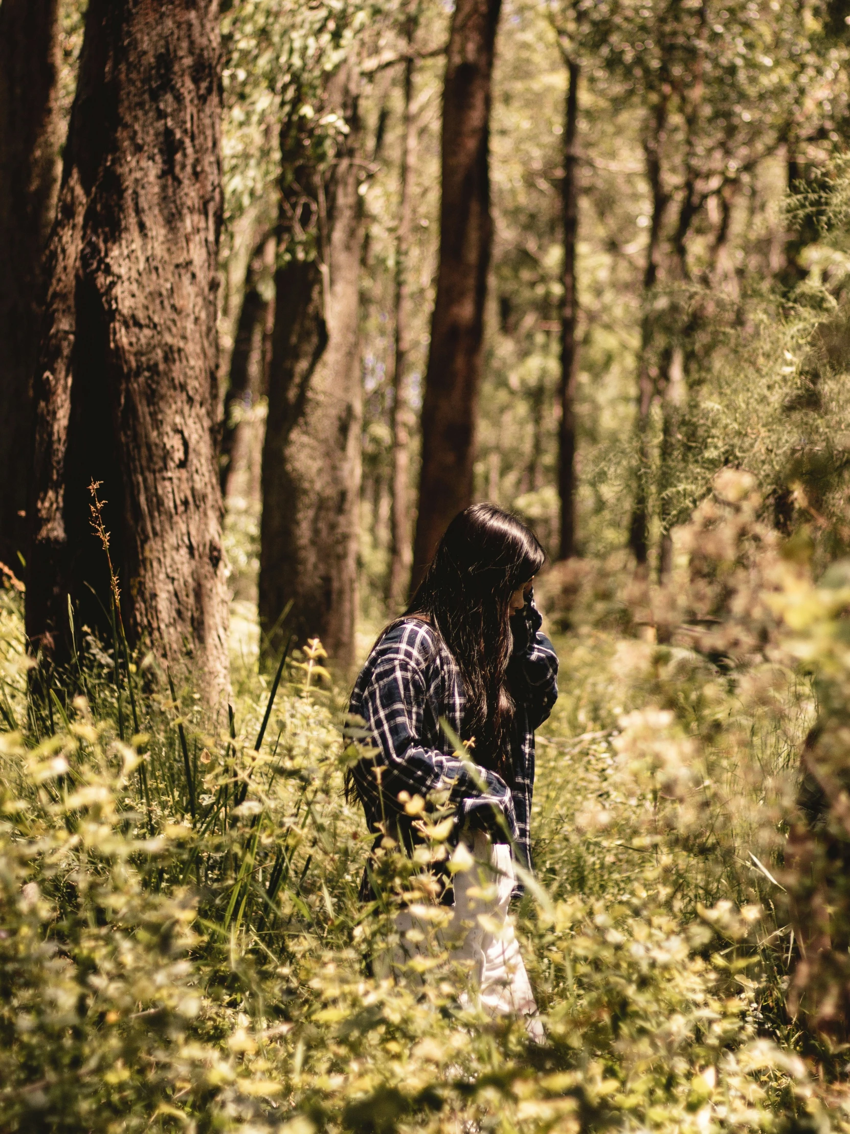 a man walks through the woods with a dog