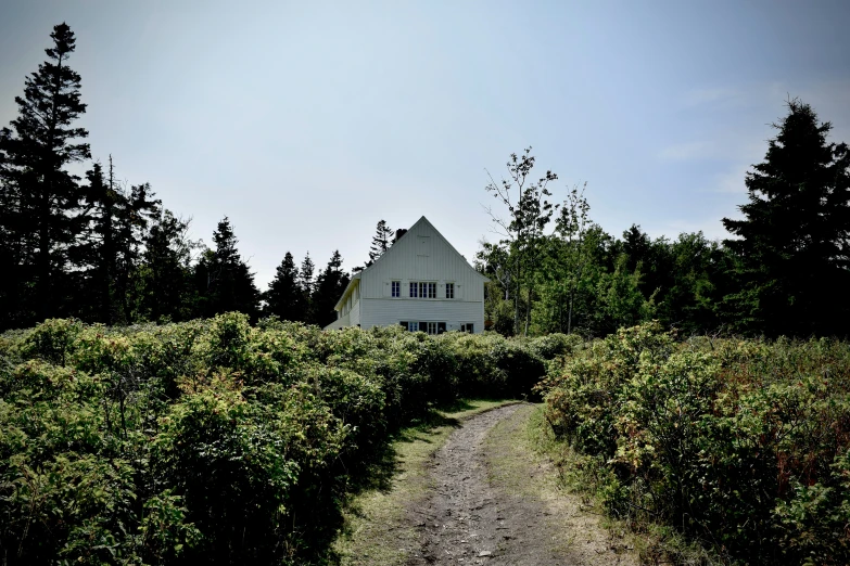 the house in the forest has been pographed in the daytime