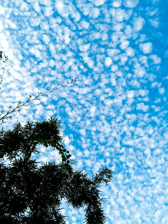 a large white frisbee is being flown high in the sky