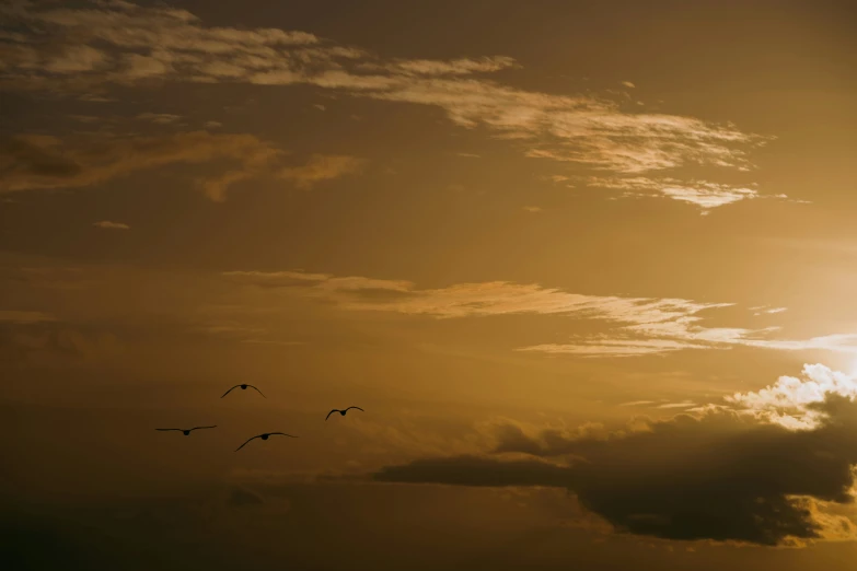 there are birds flying in the sky above some clouds