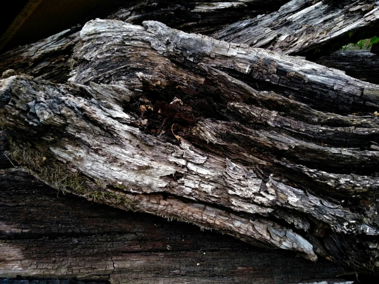 an extreme close up view of the bark on a large tree trunk