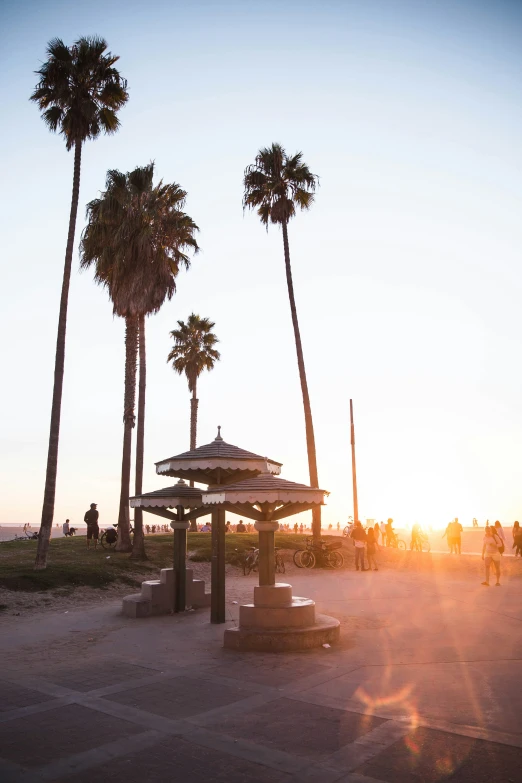 a group of people walking along a sidewalk near palm trees