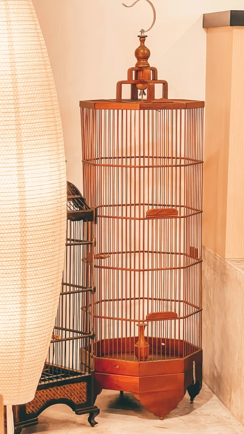 an old bird cage sits in front of a white curtain