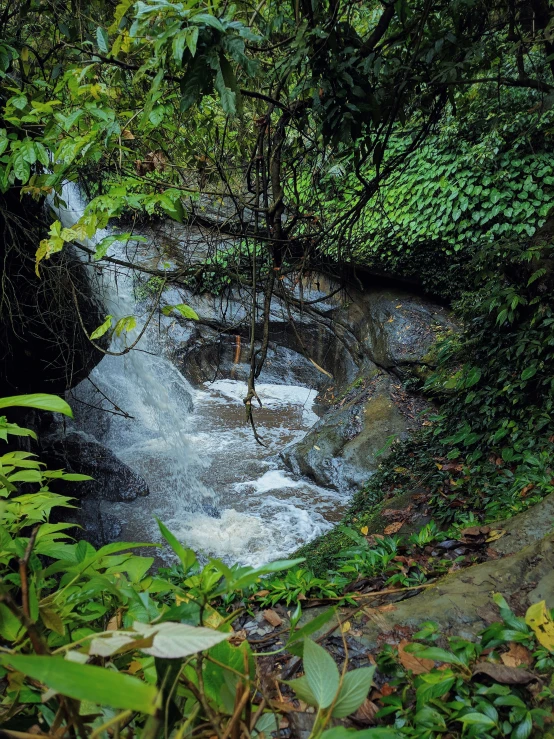 a large waterfall in the jungle surrounded by green plants