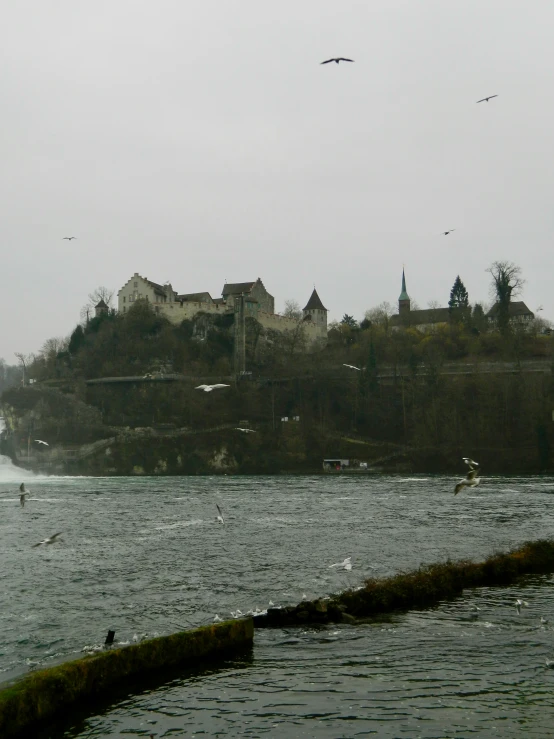 the lake has swimmers, birds and a castle in it