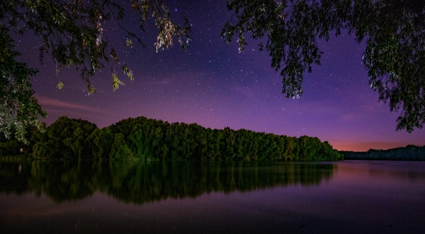 a large body of water surrounded by trees