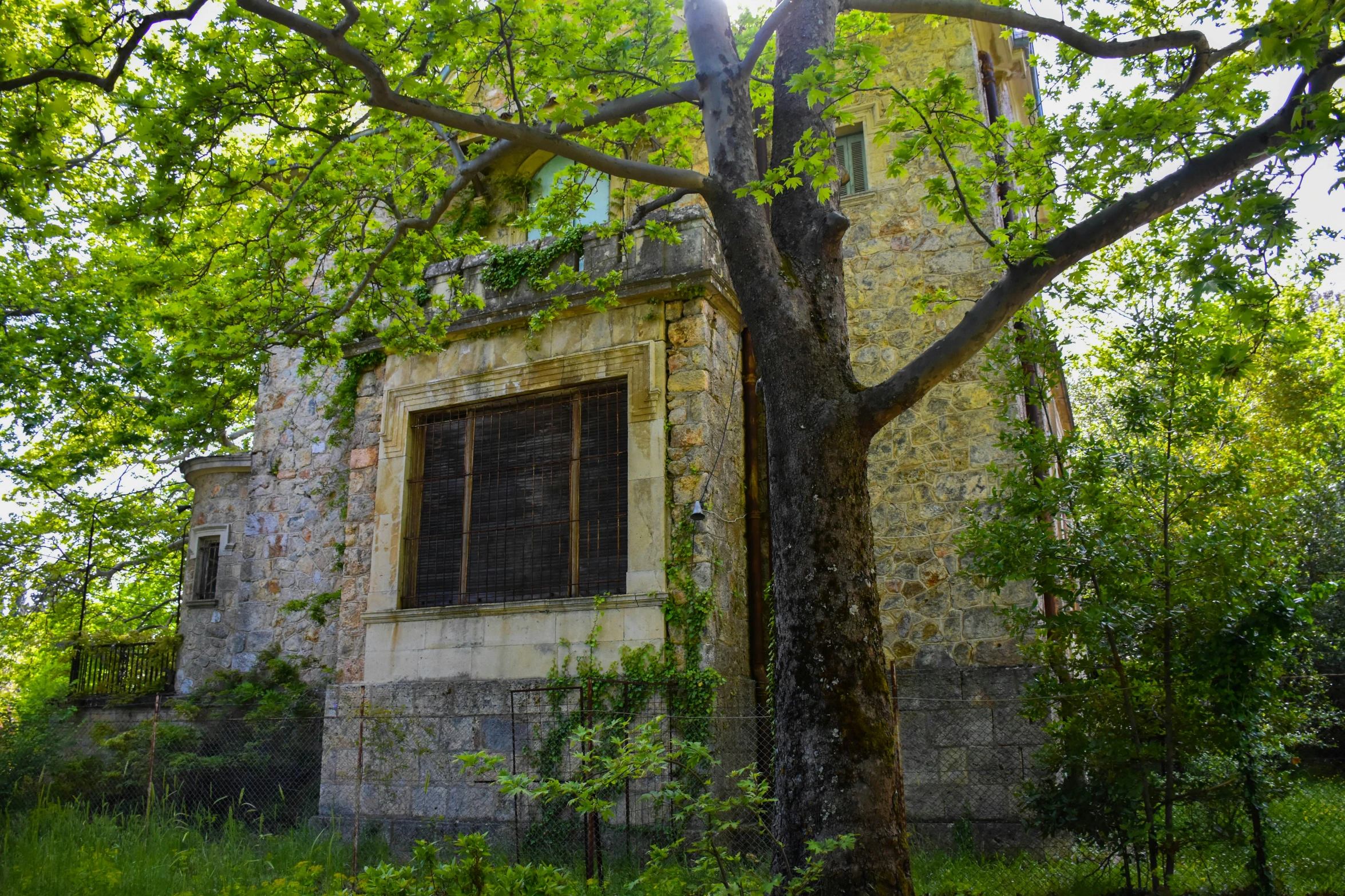 an old brick building sits underneath the tree